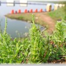 블랙세인트 이미지