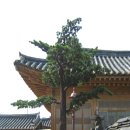 다원테크 이미지