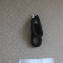 당호농장 이미지