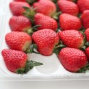 한구농장 이미지