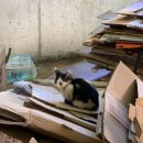 지영이네민박 이미지