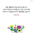 [11월 27일~말씀훈독] 이미지