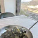 설바위펜션 | 포항 칠포 횟집 회에 숙박 아침식사도 가능한 설바위스쿠버횟집 펜션