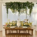 우화스튜디오 네이버블로그