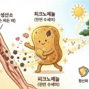기분좋은온누리약국 이미지