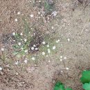 블루밍 그루밍 이미지