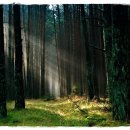 서울에스(S) 치과의원 이미지