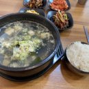 통영굴국밥물회