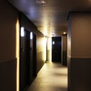 스테이인 호텔 봄 이미지