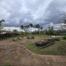 고인돌공원건너 이미지