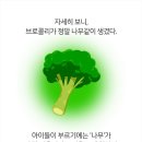 경호체육관 이미지
