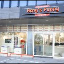 퍼피트렌드 | 대구강아지분양 홍스퍼피 반려가족 전문샵 찐후기