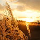 축제장 곳곳에 총 16개 포토존이 마련되어 관람객에게 다채로운 촬영장소를 제공한다. 이미지