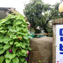 잔디밭민박 이미지