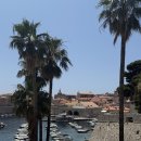 바다비치 | 크로아티아여행13, 두브로브니크 해수욕장 반예비치 바다수영 후기