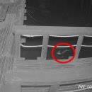 문경새재 생태미로공원 이미지