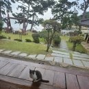 방막골민박 | 낭만 가득 목포 섬 여행 외달도 한옥민박 비파정 후기