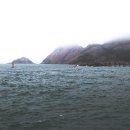 정치망민박 이미지