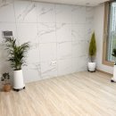 사파동132 이미지