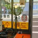 바로바로수선집