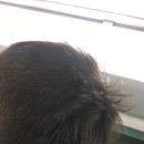 애플코인노래연습장 이미지