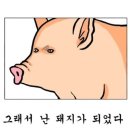 부화룡양꼬치 이미지