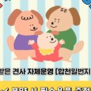 합천 일번지 켄넬 이미지