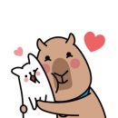 프린트카페춘천 이미지