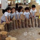 정선아기동물농장 이미지