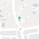 더리터운정초롱꽃 이미지