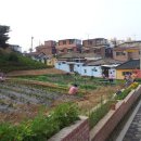산새마을 네이버블로그