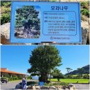 {경북 경산시} 풍경이 아름다운 인터불고CC에서 친구들과 라운딩 후기