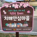 물태리 다목적회관 이미지