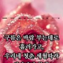 감성이 길을 잃다 이미지