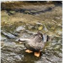 행운부동산중개사무소 이미지