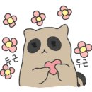 예가안경 네이버블로그