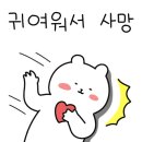 익산 고양이카페 아이캣유 네이버블로그