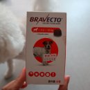 명지스타시티 동물약국 이미지