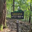 중원-100 이미지