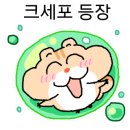 크로스핏간지
