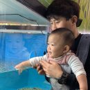 닥터쉬 - 동구 학소로42번길 15-4 | 닥터쉬