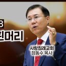 누가복음 설교 5-6편 영광의 흰머리 (눅 2:21~38), (참 사람이신 예수님) (눅 2:39~52) : (정동수 목사, 사랑침례교 이미지