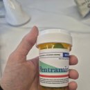 모정 | 찐 내돈내산 펜트라민 마름모정 식욕억제 2주 후기