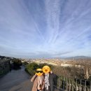 선유4리 도시계획도로 입구 | 엄마와 친구네 가족과 함께 하는 8박 10일 서유럽 3개국 패키지여행 후기 -7일차- (피렌체)