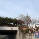 성대초등학교 이미지