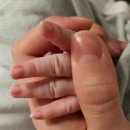 손톱깎이 | 신생아 손톱 어떻게 깎아야 할까? 25일차 손톱깎이 후기