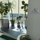 1438 | 전주 애견동반 여행 브런치카페 '추탄 1438' 방문 후기