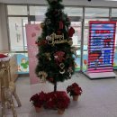 청림초등학교 병설유치원 이미지