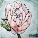 서정고등학교 이미지