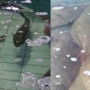 민수유통 이미지